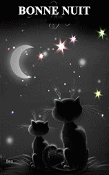 bonne nuit lune et chats
